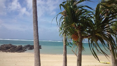 奄美大島、馬車山村、浜辺