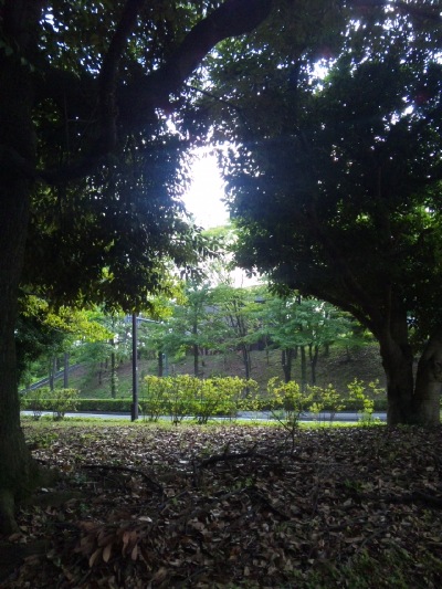 東京都多摩市豊ヶ丘南公園